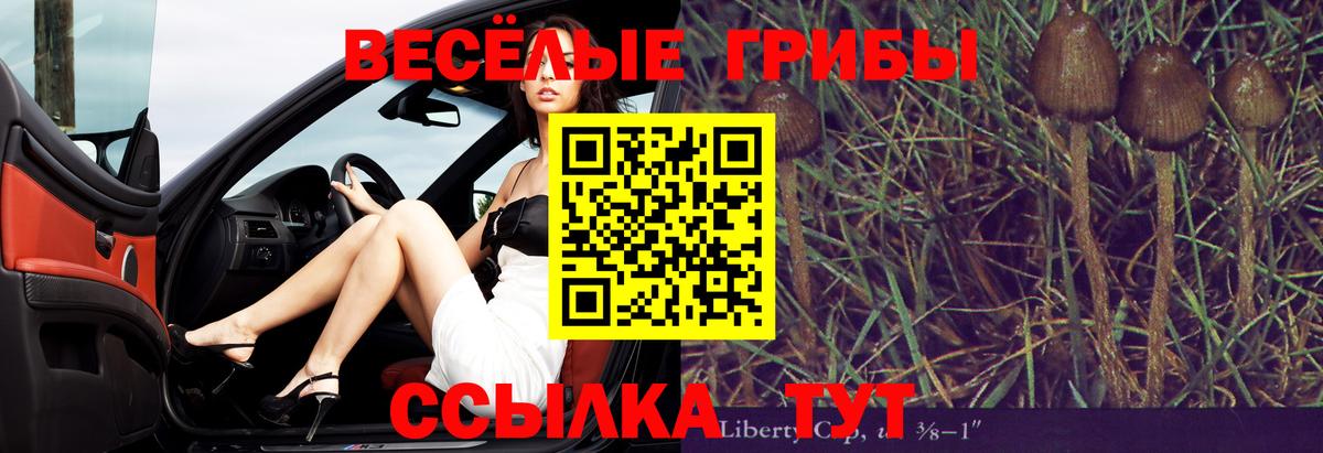 Псилоцибиновые грибы Magic Shrooms Чебаркуль